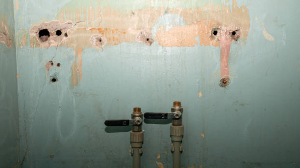Best Flooded house restoration  in Falling Waters, WV